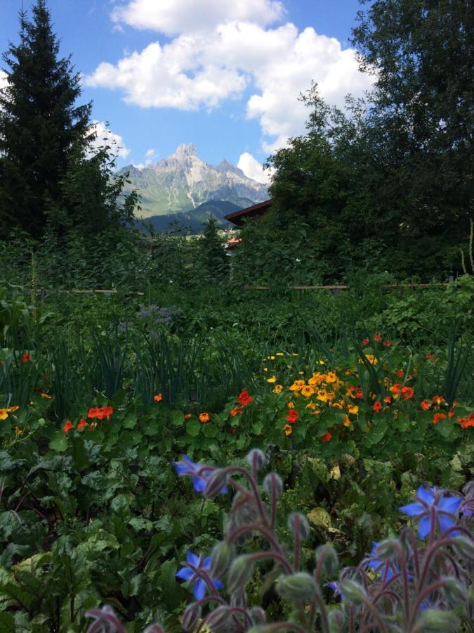 Zur Lieben Sonne Apartamento Filzmoos Exterior foto